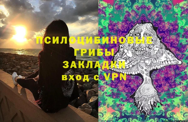 стафф Бронницы