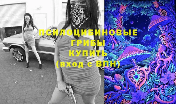 соль ск Бородино