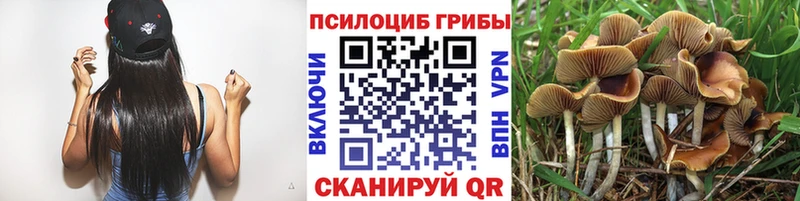 Псилоцибиновые грибы мицелий  Старый Оскол 
