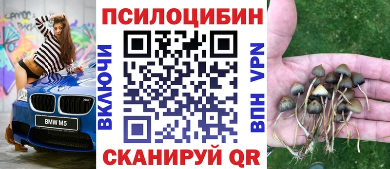 Псилоцибиновые грибы GOLDEN TEACHER Старый Оскол