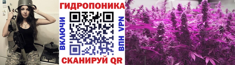 Конопля White Widow как найти Старый Оскол